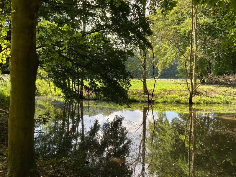 Het Amsterdamse Bos