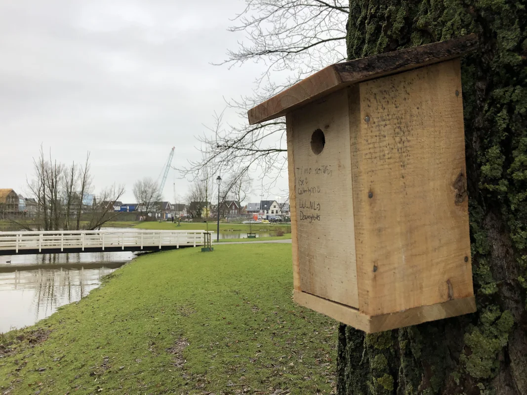 Vogelhuisjes spotten in Quatrebras
