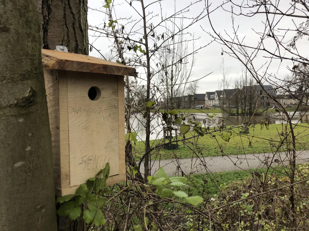 Een warm nest voor de vogels in Quatrebras Badhoevedorp